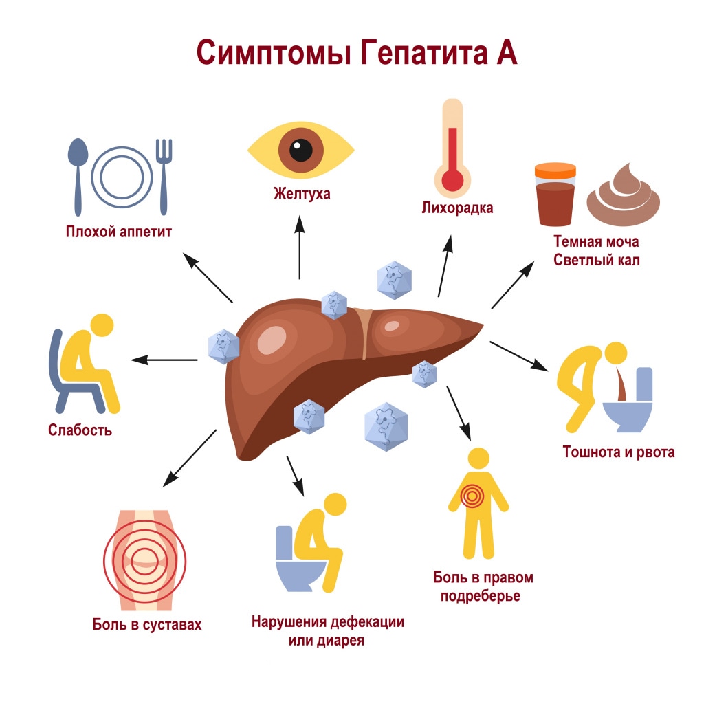 Гепатит А. Профилактика гепатита А